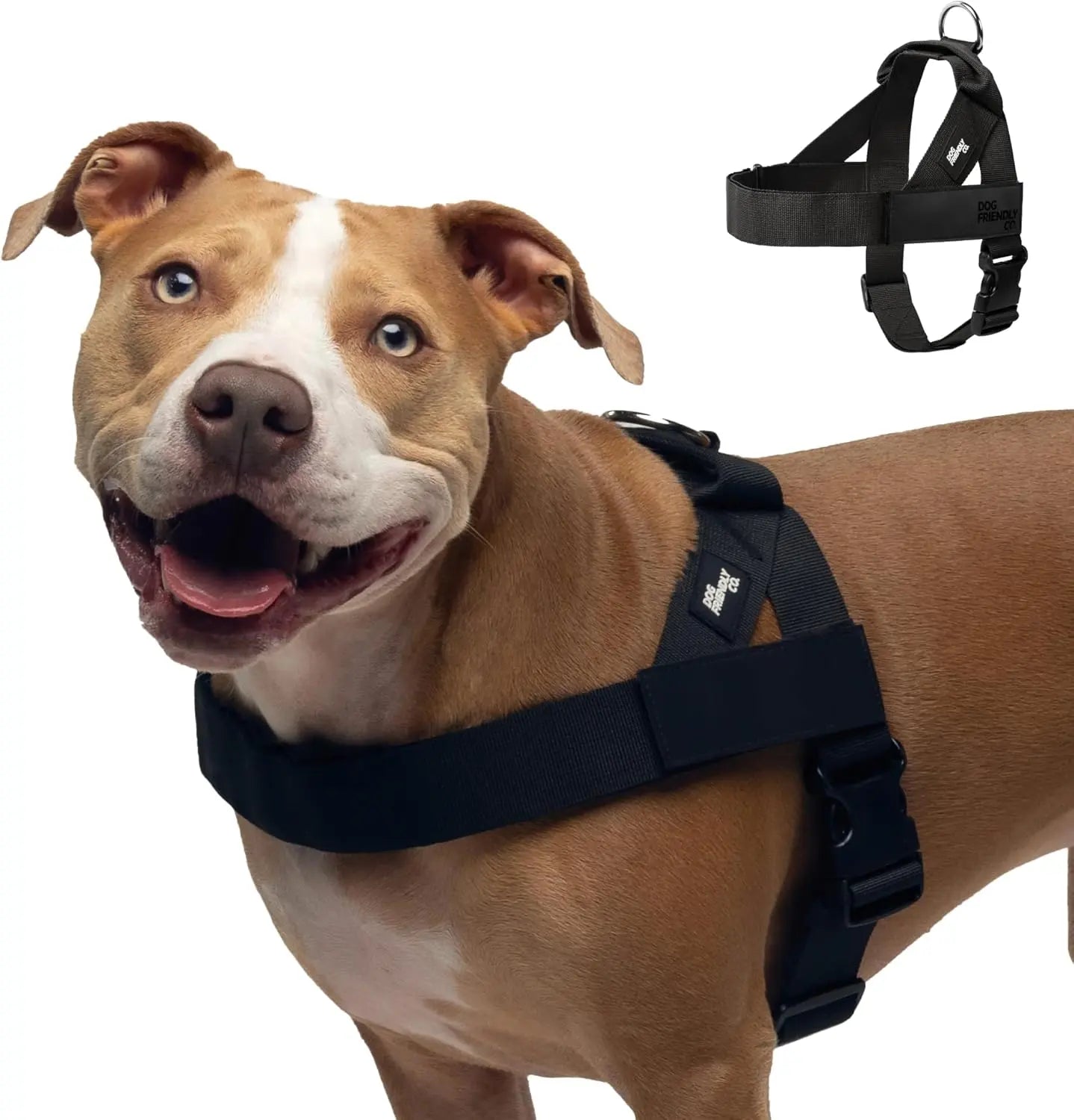 Dog Friendly Co. No-Pull Harness - Easy Fit, Safe and Comfortable Design - Adjustable Lightweight Straps for All Dog Breeds