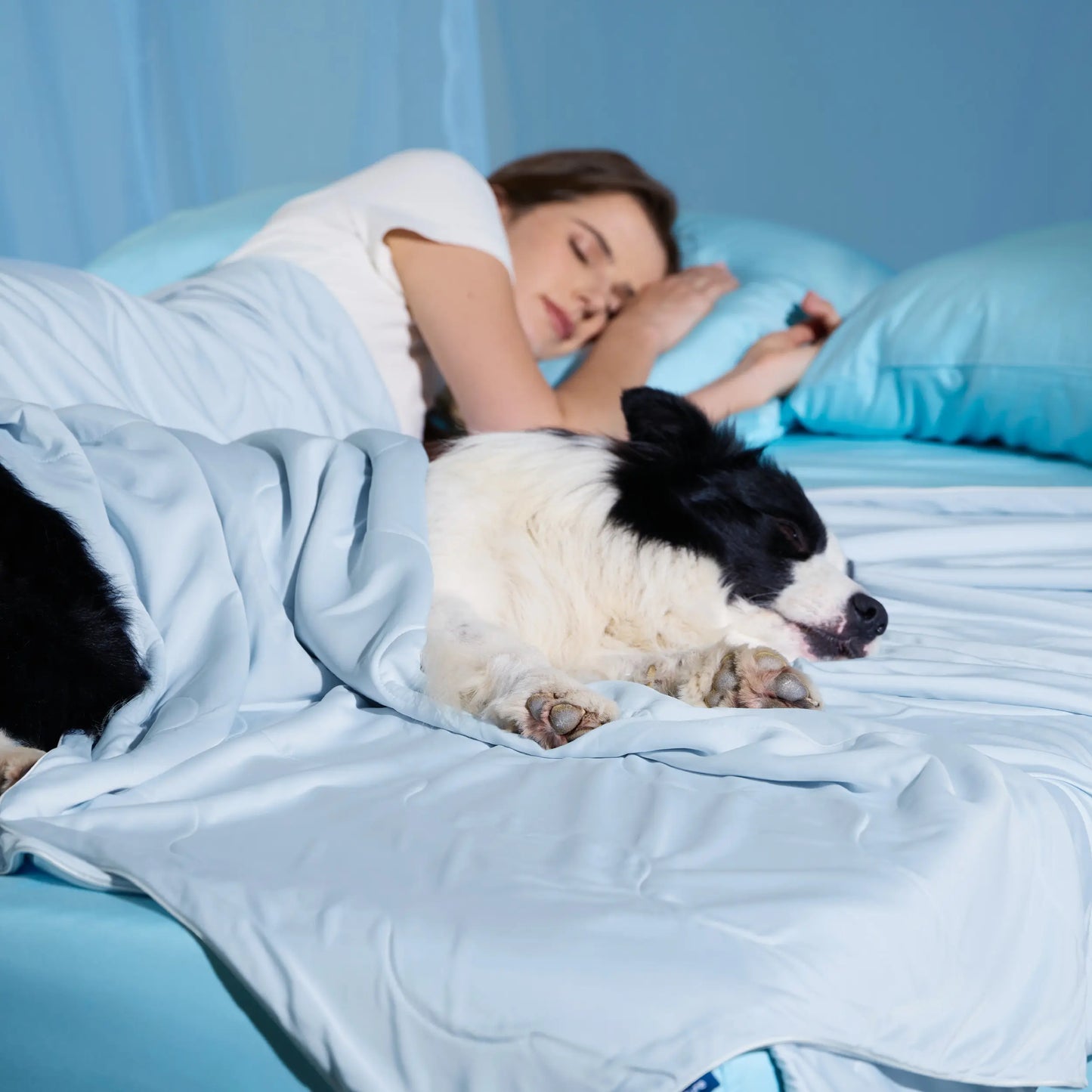 Bedsure Pet Cooling Blanket for Dogs and Cats - Easy Machine Wash, Heat Dissipation, Multiple Sizes, Skin-Friendly, Washable and Breathable Throw for Couch and Bed