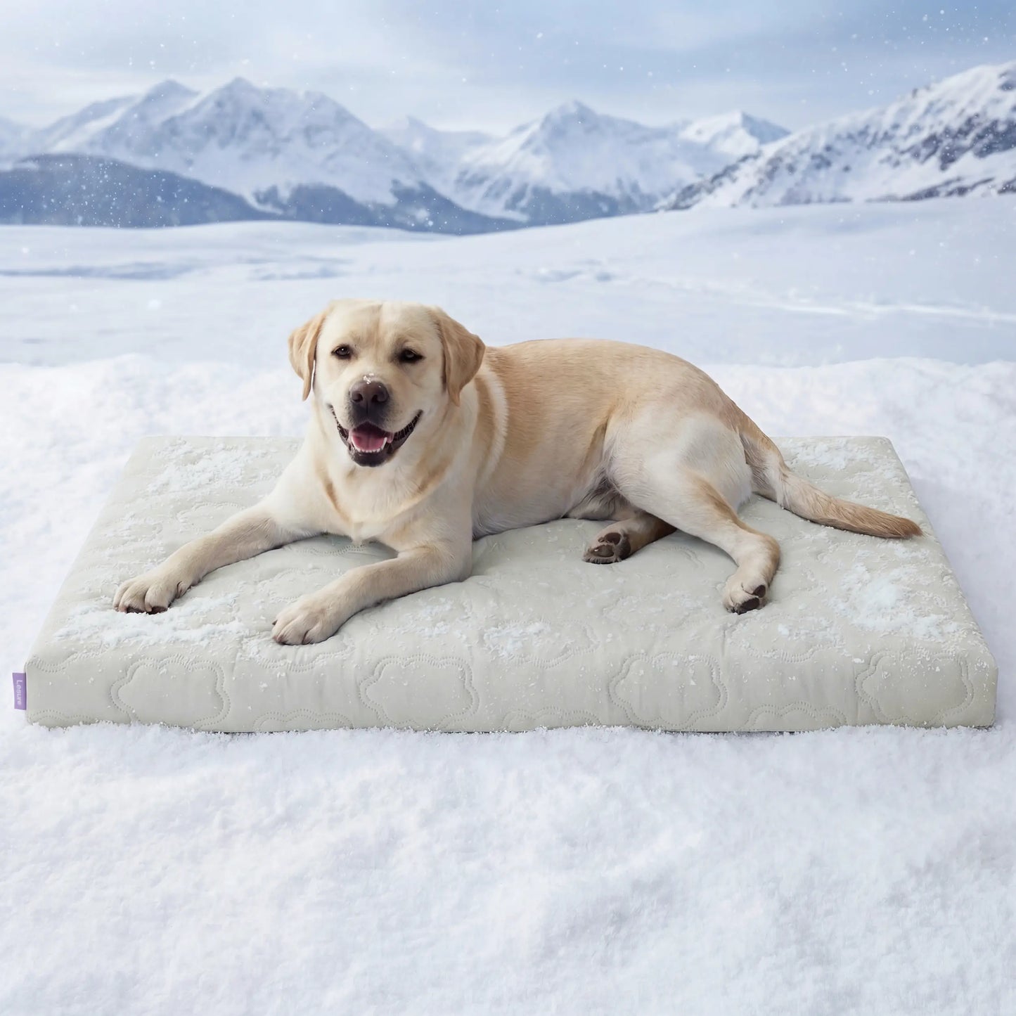 Bedsure Cooling Pet Mat for Dogs and Cats - Instant Cooling Comfort with Non-Slip Design, Machine Washable, Perfect for Summer