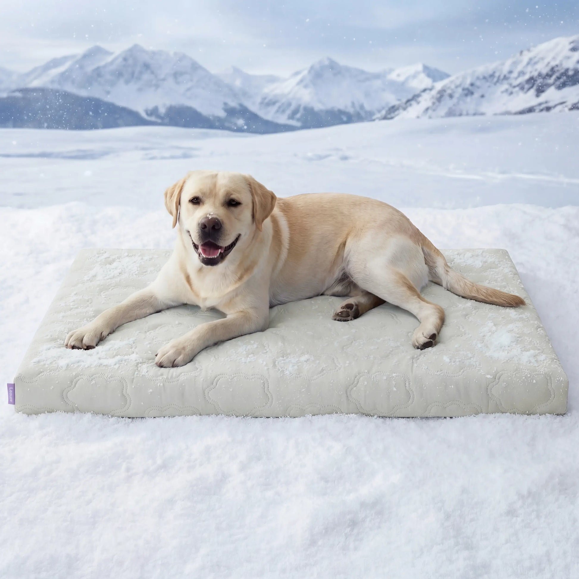 Bedsure Cooling Pet Mat for Dogs and Cats - Instant Cooling Comfort with Non-Slip Design, Machine Washable, Perfect for Summer