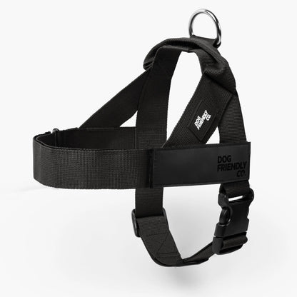 Dog Friendly Co. No-Pull Harness - Easy Fit, Safe and Comfortable Design - Adjustable Lightweight Straps for All Dog Breeds