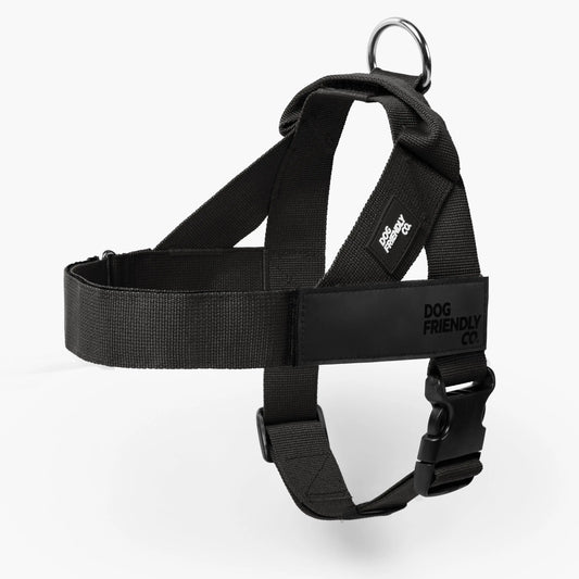 Dog Friendly Co. No-Pull Harness - Easy Fit, Safe and Comfortable Design - Adjustable Lightweight Straps for All Dog Breeds