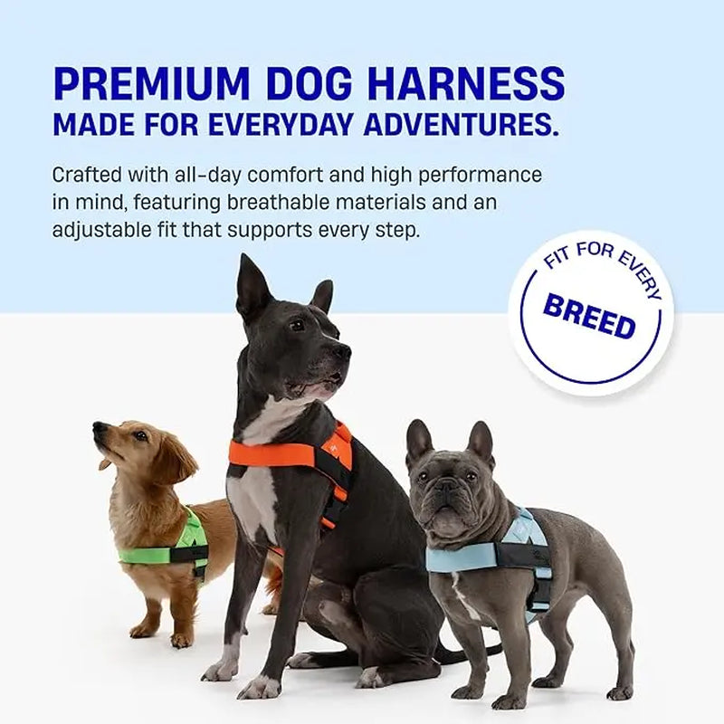 Dog Friendly Co. No-Pull Harness - Easy Fit, Safe and Comfortable Design - Adjustable Lightweight Straps for All Dog Breeds