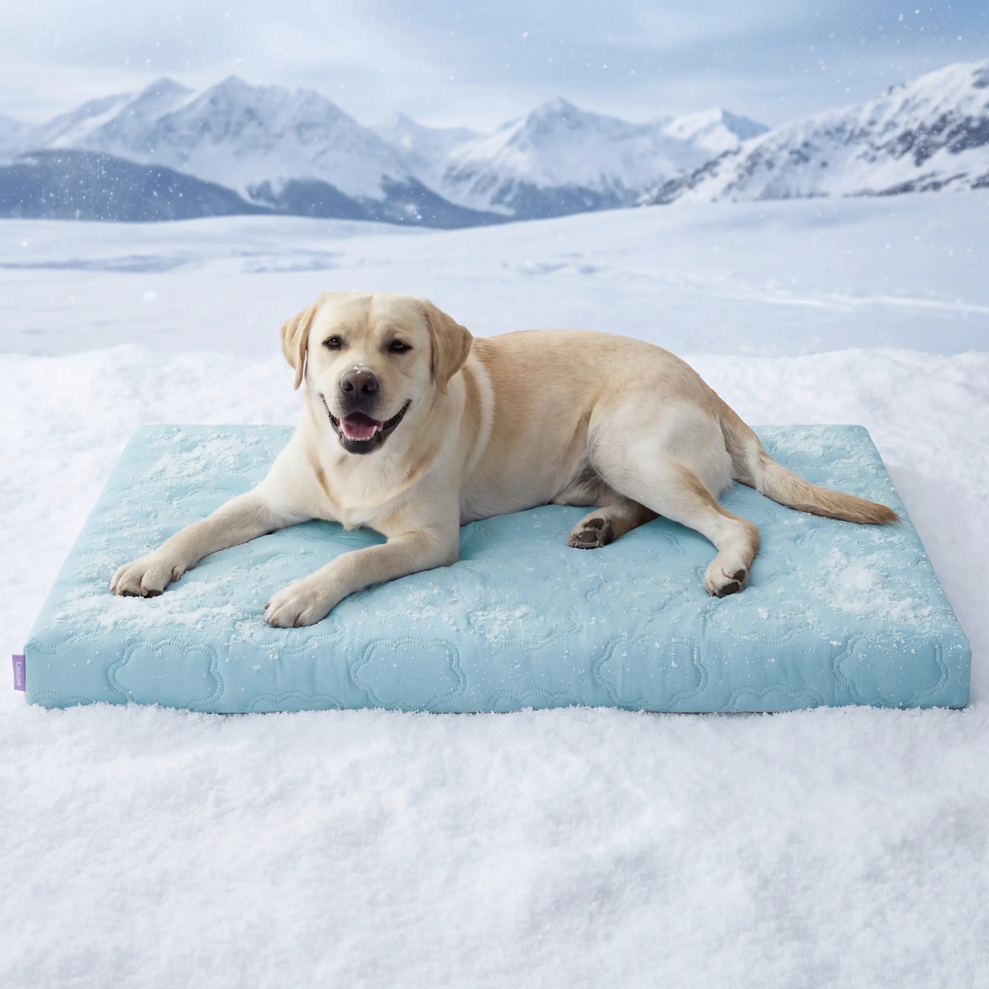 Bedsure Cooling Pet Mat for Dogs and Cats - Instant Cooling Comfort with Non-Slip Design, Machine Washable, Perfect for Summer