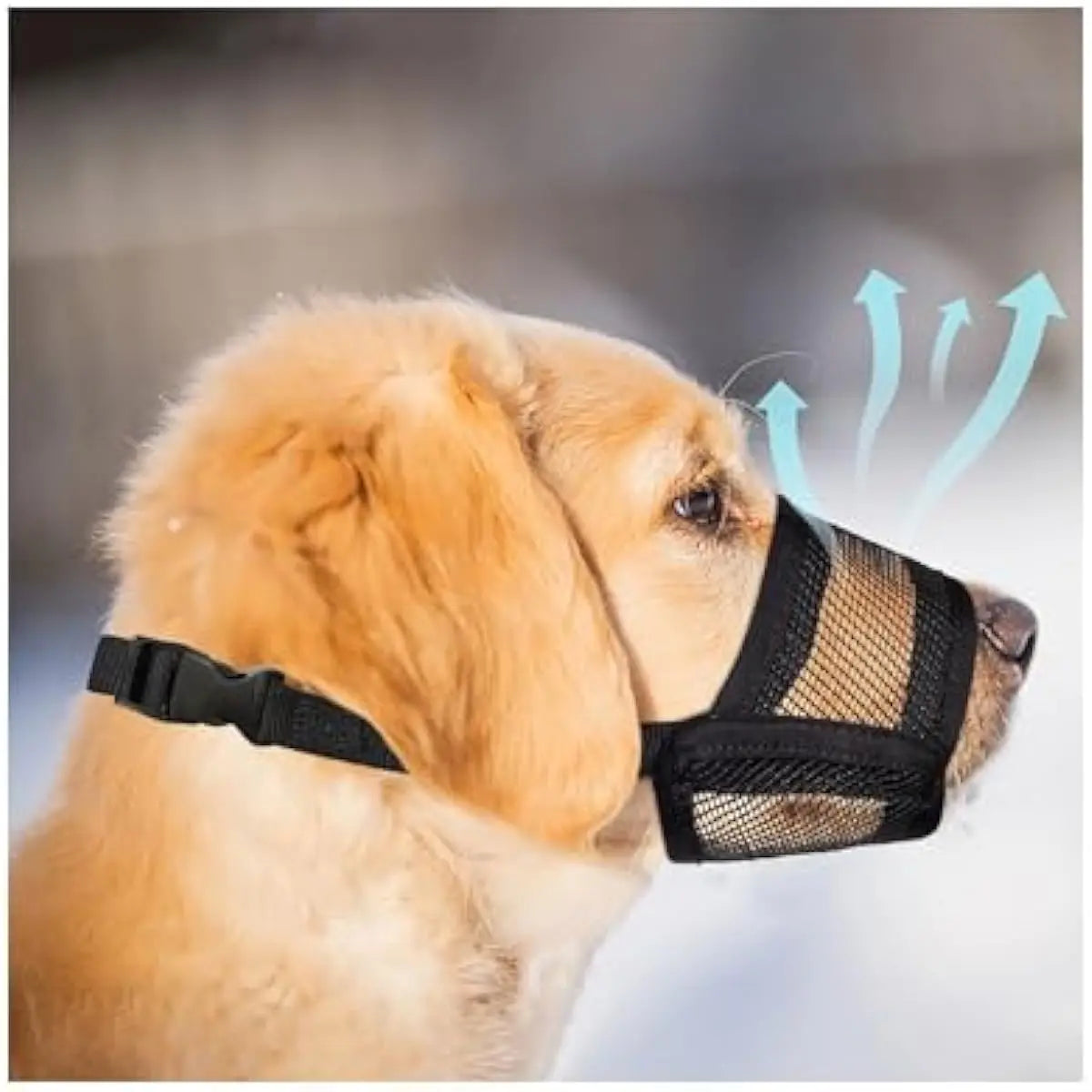 Adjustable Air Mesh Dog Muzzle - Prevent Biting, Chewing & Licking for All Dog Sizes