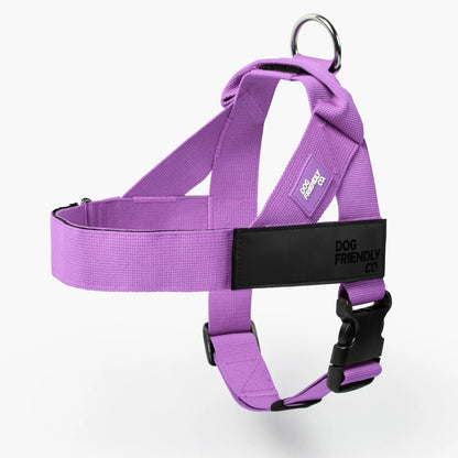 Dog Friendly Co. No-Pull Harness - Easy Fit, Safe and Comfortable Design - Adjustable Lightweight Straps for All Dog Breeds