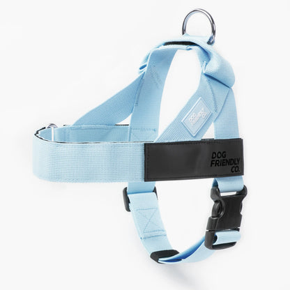 Dog Friendly Co. No-Pull Harness - Easy Fit, Safe and Comfortable Design - Adjustable Lightweight Straps for All Dog Breeds