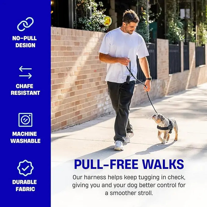 Dog Friendly Co. No-Pull Harness - Easy Fit, Safe and Comfortable Design - Adjustable Lightweight Straps for All Dog Breeds