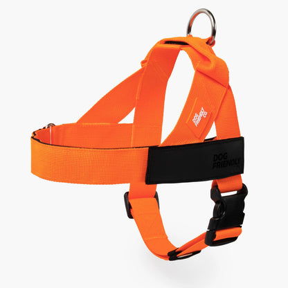 Dog Friendly Co. No-Pull Harness - Easy Fit, Safe and Comfortable Design - Adjustable Lightweight Straps for All Dog Breeds