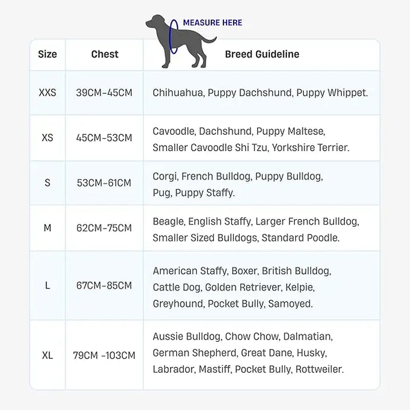 Dog Friendly Co. No-Pull Harness - Easy Fit, Safe and Comfortable Design - Adjustable Lightweight Straps for All Dog Breeds