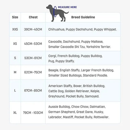 Dog Friendly Co. No-Pull Harness - Easy Fit, Safe and Comfortable Design - Adjustable Lightweight Straps for All Dog Breeds