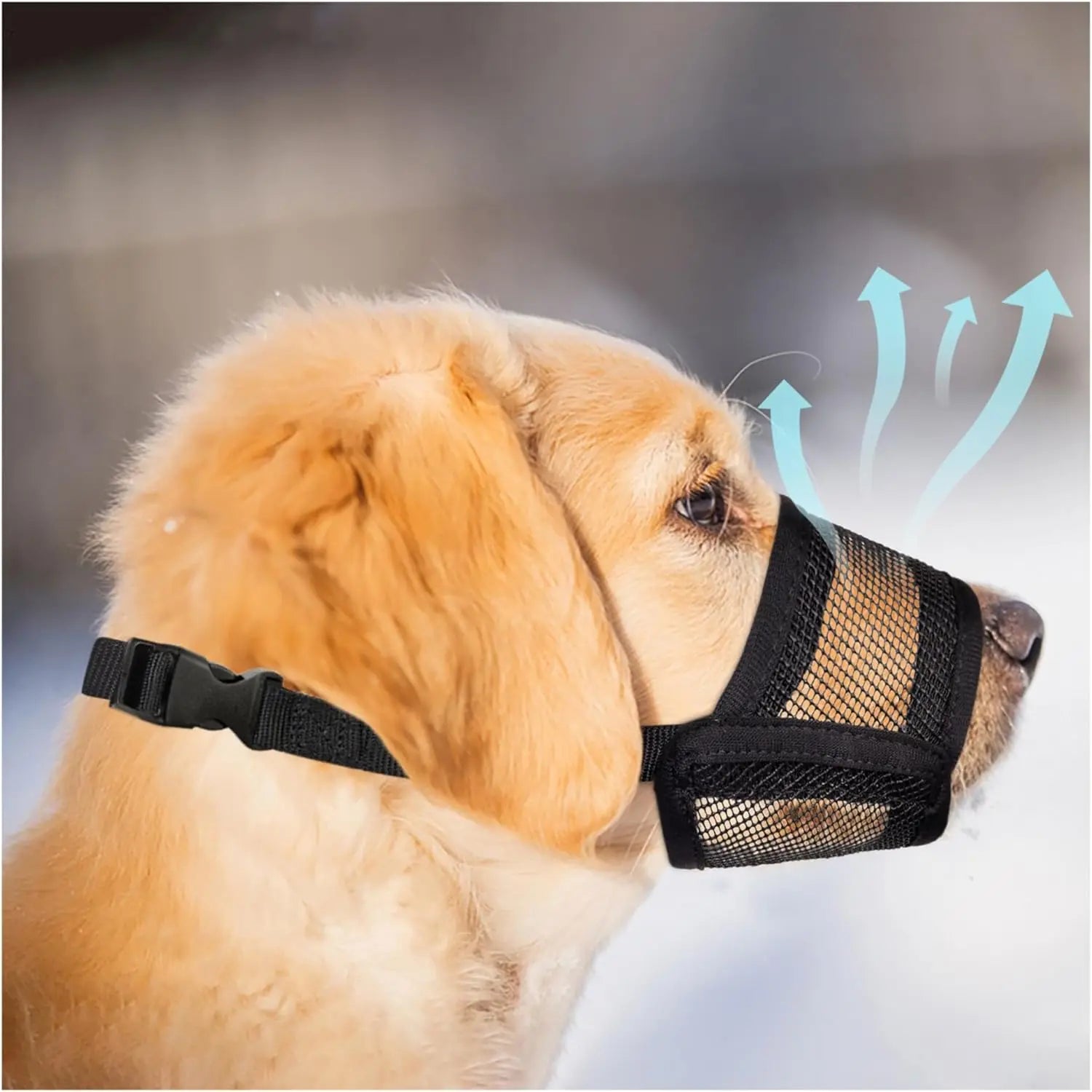 Adjustable Air Mesh Dog Muzzle - Prevent Biting, Chewing & Licking for All Dog Sizes